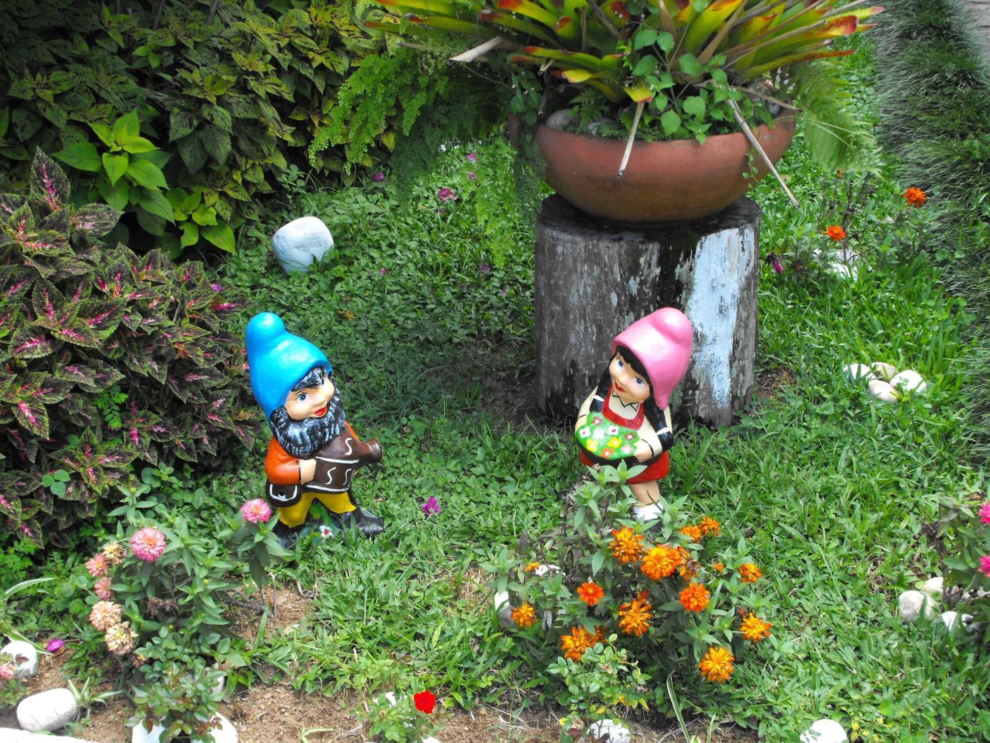 Pousada Cascata Dos Amores Teresópolis Exterior foto